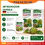 Viên uống bổ gan, thải độc gan mát gan Artischocken Altapharma - Hộp 100 viên - Hàng nội địa Đức