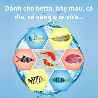 Lọ 50g Cám Cá Trọi - Beta Hàm Lượng Dinh Dưỡng Cao Tăng Cường Miễn Dịch Và Lên Màu Tốt