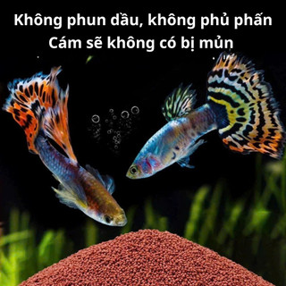 Cám Trùng Huyết Sấy Khô Hạt 0.2mm, Cám Trộn T5 Công Thức Dinh Dưỡng Cho Cá Cảnh
