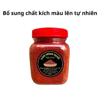 Cám Dán Artemia + Cám Trộn T5 + Cám Trùng Huyết, Combo Giúp Cá Tăng Size Phát Triển Toàn Diện