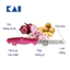 Dao gọt hoa quả lưỡi thẳng 94mm KAI Hocho Kitchen Knife Short bằng thép không gỉ cán nhựa PP nhiều màu (Vỉ nhựa)