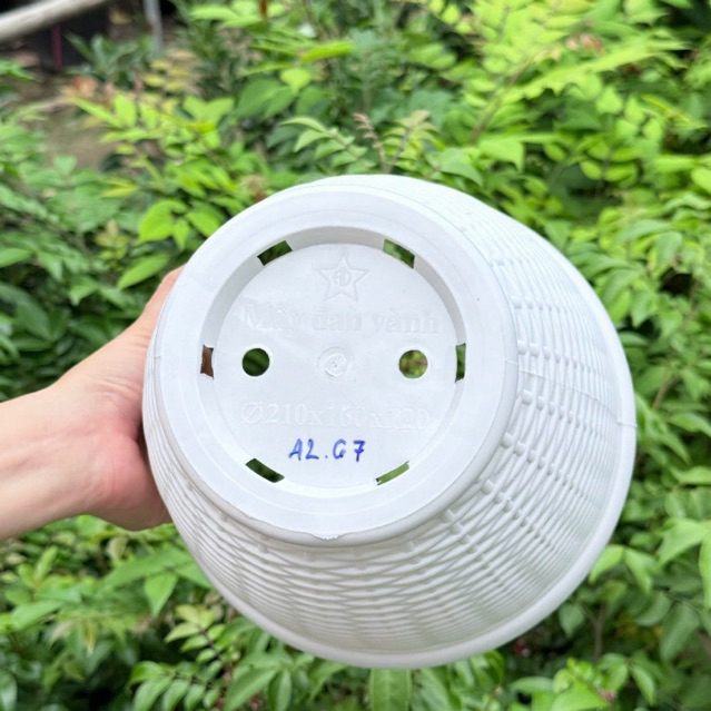 Chậu cây mây đan vành – Chậu trồng cây nhỏ gọn, thoát nước tốt, phù hợp nhiều loại cây
