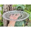 DĨA THỦY TINH TRÒN 29CM CÓ HỘP DÀY DẶN