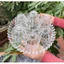 DĨA THỦY TINH TRÒN 29CM CÓ HỘP DÀY DẶN