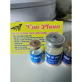 TRỊ VIÊM TỬ CUNG TRÊN CHỒN HƯƠNG, CHỒN MỐC