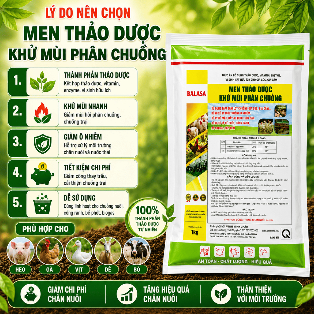 Men rắc chuồng thảo dược baalasa 1kg khử mùi hôi, hấp thu khí độ.c chăn nuôi