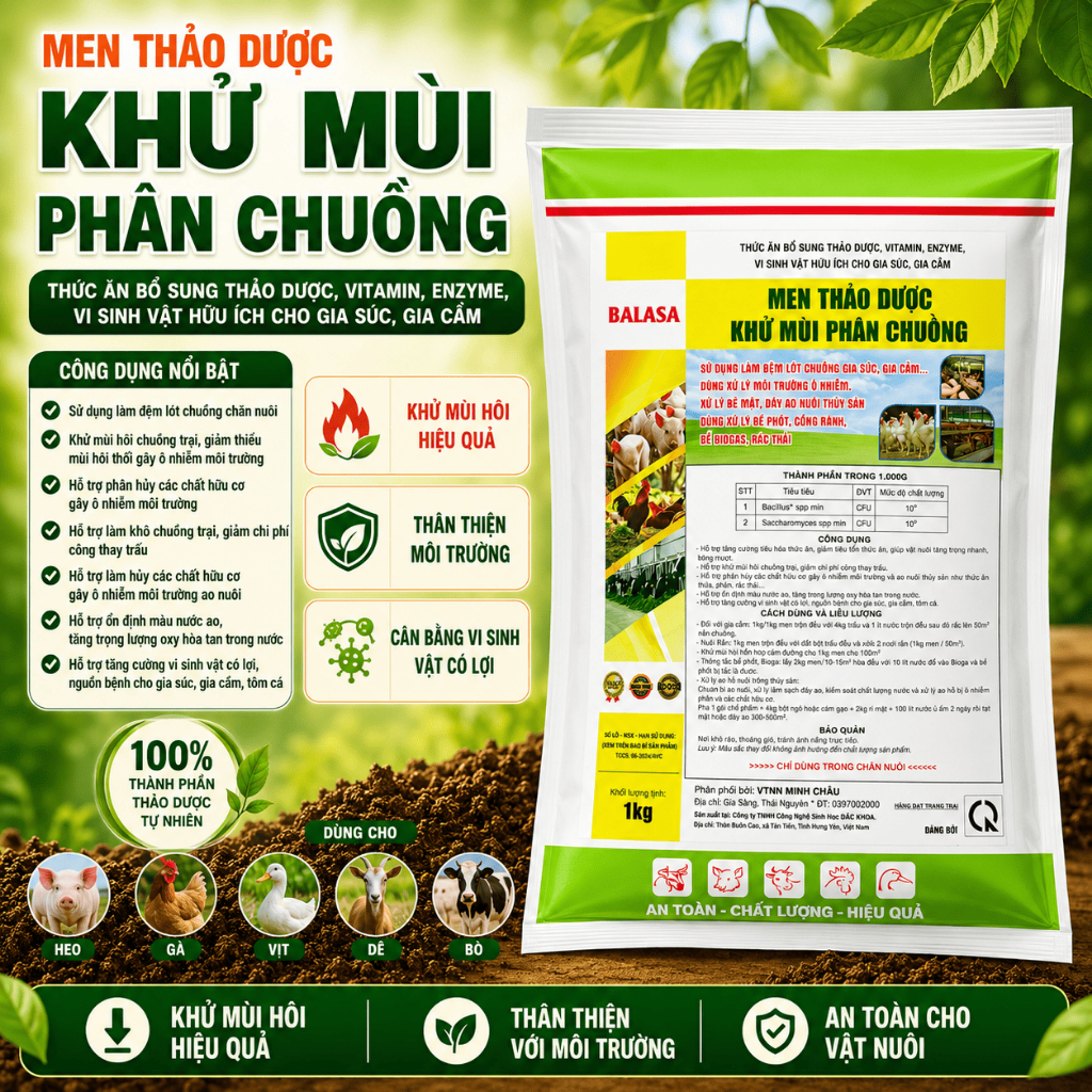 Men rắc chuồng thảo dược baalasa 1kg khử mùi hôi, hấp thu khí độ.c chăn nuôi