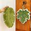 KHĂN LAU TAY HÌNH LÁ CHUỐI SIÊU THẤM HÚT – TRANG TRÍ XINH XẮN CHO GIAN BẾP 🍃