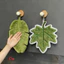 KHĂN LAU TAY HÌNH LÁ CHUỐI SIÊU THẤM HÚT – TRANG TRÍ XINH XẮN CHO GIAN BẾP 🍃