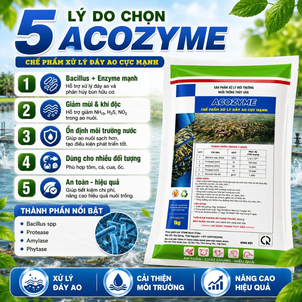 Men vi sinh xử lý đáy ao hồ acozym 1kg làm sạch, cân bằng hệ vi sinh nước nuôi tôm,cá.