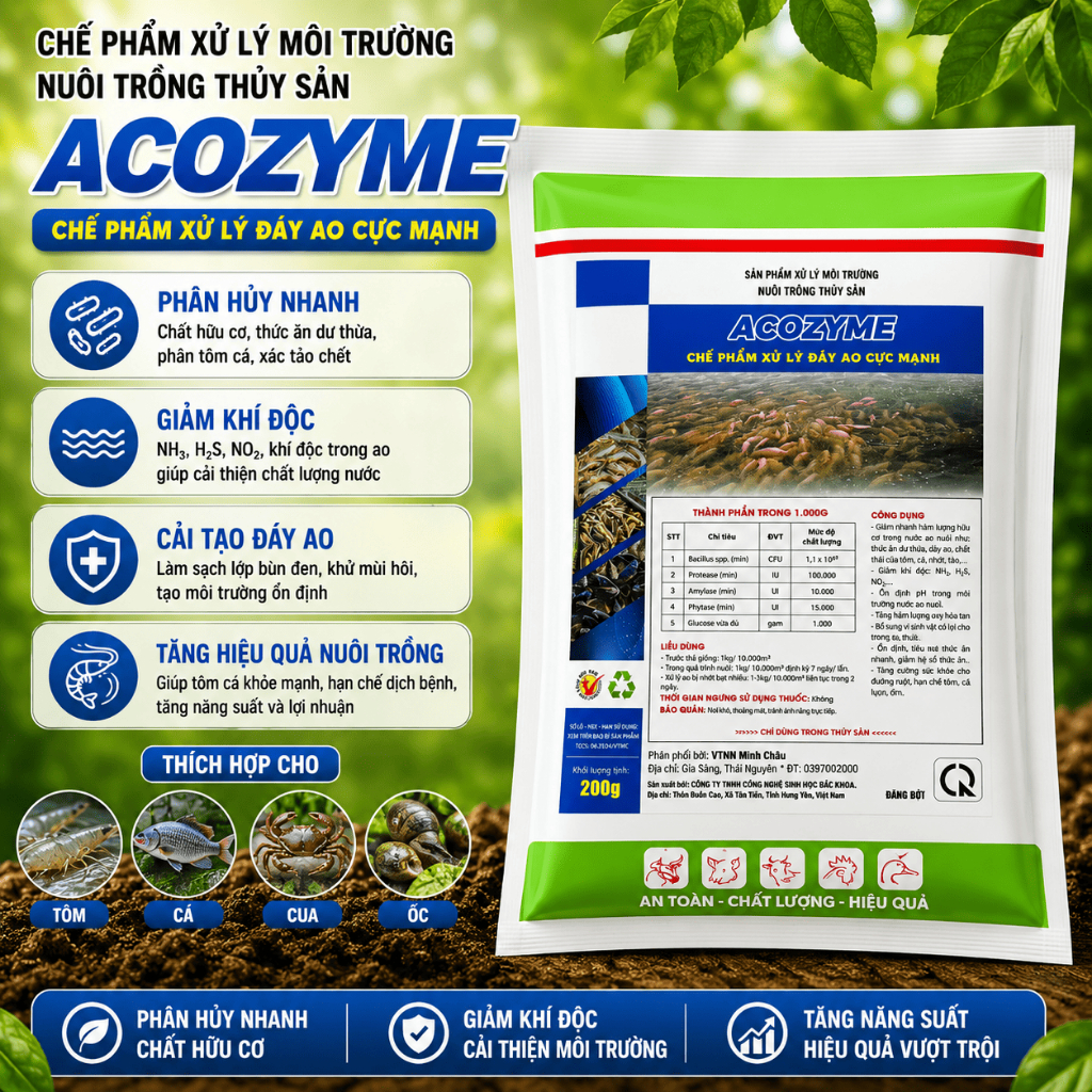 Men vi sinh xử lý đáy ao hồ acozym 1kg làm sạch, cân bằng hệ vi sinh nước nuôi tôm,cá.