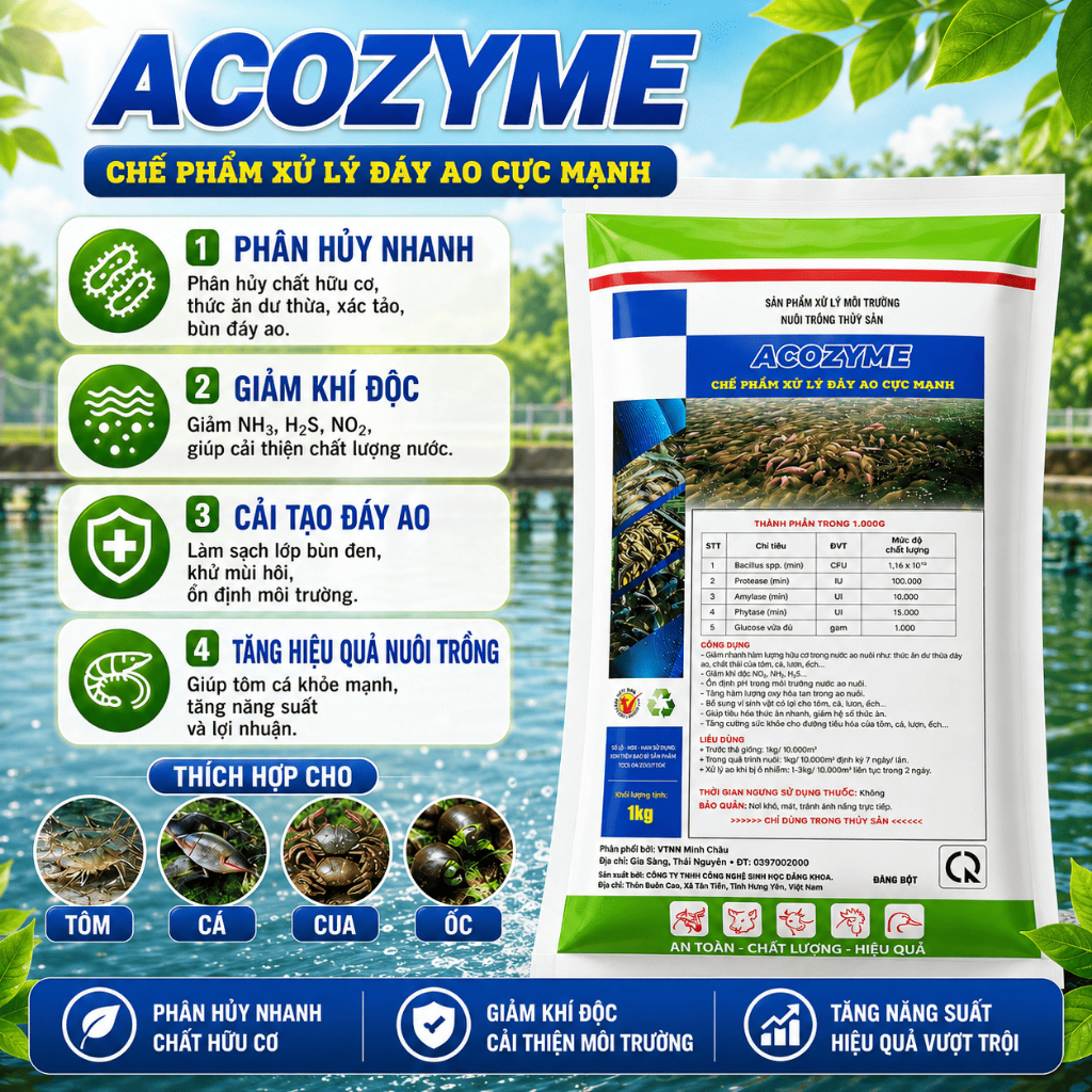 Men vi sinh xử lý đáy ao hồ acozym 1kg làm sạch, cân bằng hệ vi sinh nước nuôi tôm,cá.