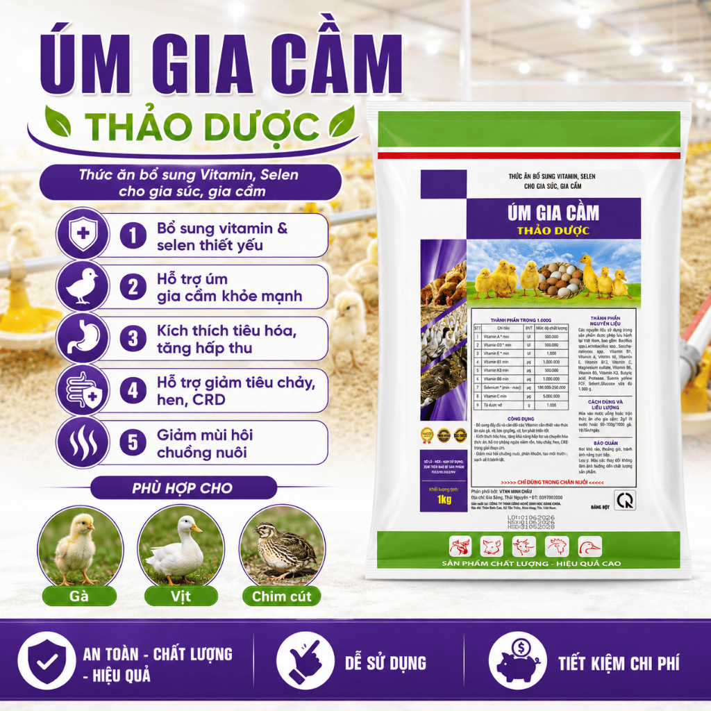 Úm gà, vịt, ngan, cút gói 1kg. Nhanh tiêu lòng đỏ, khỏe, lớn nhanh đồng đều