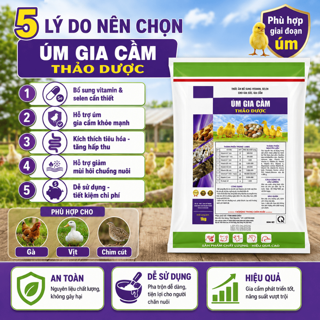 Úm gà, vịt, ngan, cút gói 1kg. Nhanh tiêu lòng đỏ, khỏe, lớn nhanh đồng đều