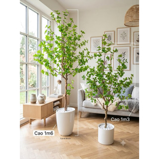 CÂY THẠCH NAM NHÂN TẠO. CÂY THẠCH NAM GIẢ TRANG TRÍ KHÔNG GIAN NHÀ Ở VÀ NƠI LÀM VIỆC