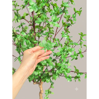 CÂY THẠCH NAM NHÂN TẠO. CÂY THẠCH NAM GIẢ TRANG TRÍ KHÔNG GIAN NHÀ Ở VÀ NƠI LÀM VIỆC