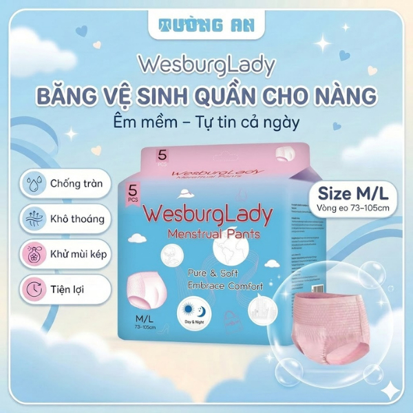 Băng Quần Vệ Sinh Phụ Nữ WesburgLady Ôm 360° Chống Tràn Khô Thoáng Khử Mùi Kép Size M/L x5 Quần