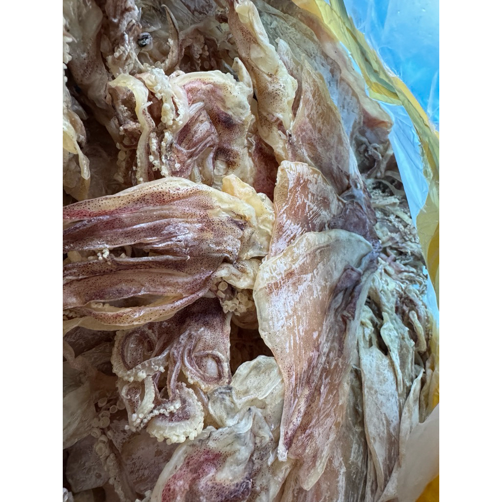 Mực câu loại 1 Size 25con/kg | 1 túi 6 con (to, ngon, dày cơm)