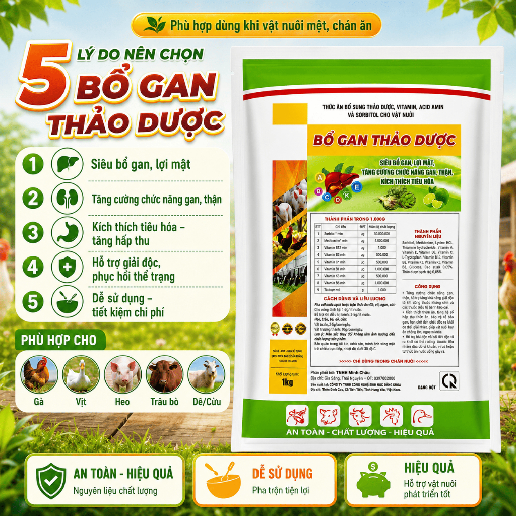 Giải độc gan, thận , bổ nội tạng 1kg cho uống, trộn thức ăn, giải độc, tăng cường chức năng gan thận