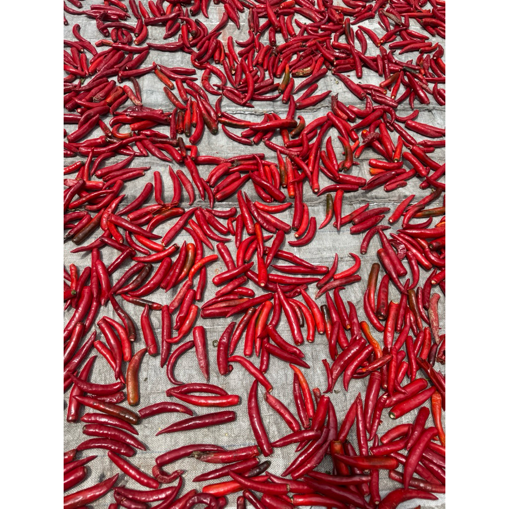 Ớt bột Siêu cay (Ớt chỉ thiên) 500g/túi