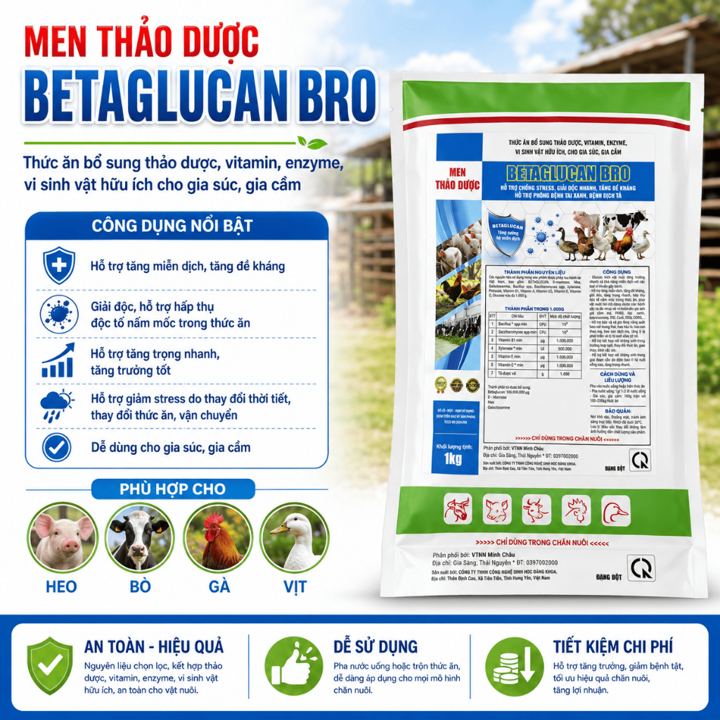 Be ta glu can 1kg tăng đề khá. ng, nâng cao sức khỏe tăng miễn d.ịch gia.i đ,ộc cho gà, vịt, heo, trâu bò