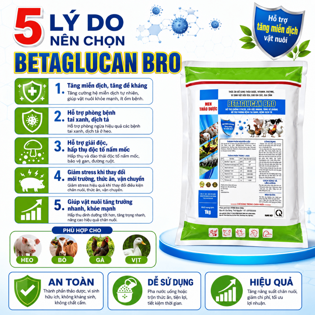 Be ta glu can 1kg tăng đề khá. ng, nâng cao sức khỏe tăng miễn d.ịch gia.i đ,ộc cho gà, vịt, heo, trâu bò