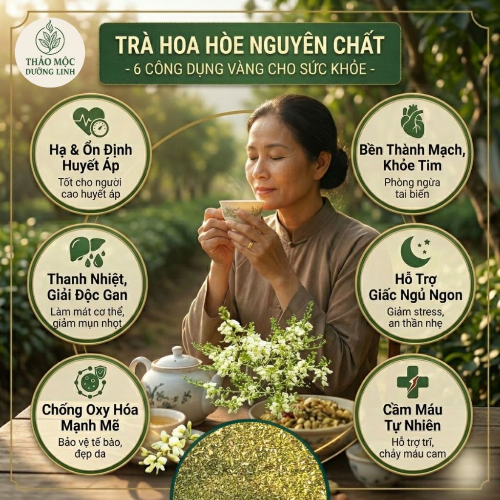 Trà Hoa Hòe Cỏ Ngọt Túi Lọc - Combo World Cup Mua 2 Tặng 1 - Giải Nhiệt, Bền Thành Mạch, Ngủ Ngon Sâu Giấc