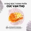 Dung Dịch Vệ Sinh Phụ Nữ Cavaillès Cúc Vạn Thọ - Làm Sạch - Làm Dịu Da - Giành Cho Chị Em Phụ Nữ