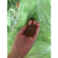 2kg cám cá viên 2ml độ đạm 40