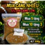 Mồi Câu Chuyên Chép Cao Cấp HL68 - vị thơm ngọt ngô sữa+ bơ sữa . Giữ ổ lâu bền siêu bung toả. Cám Linh Thỏ