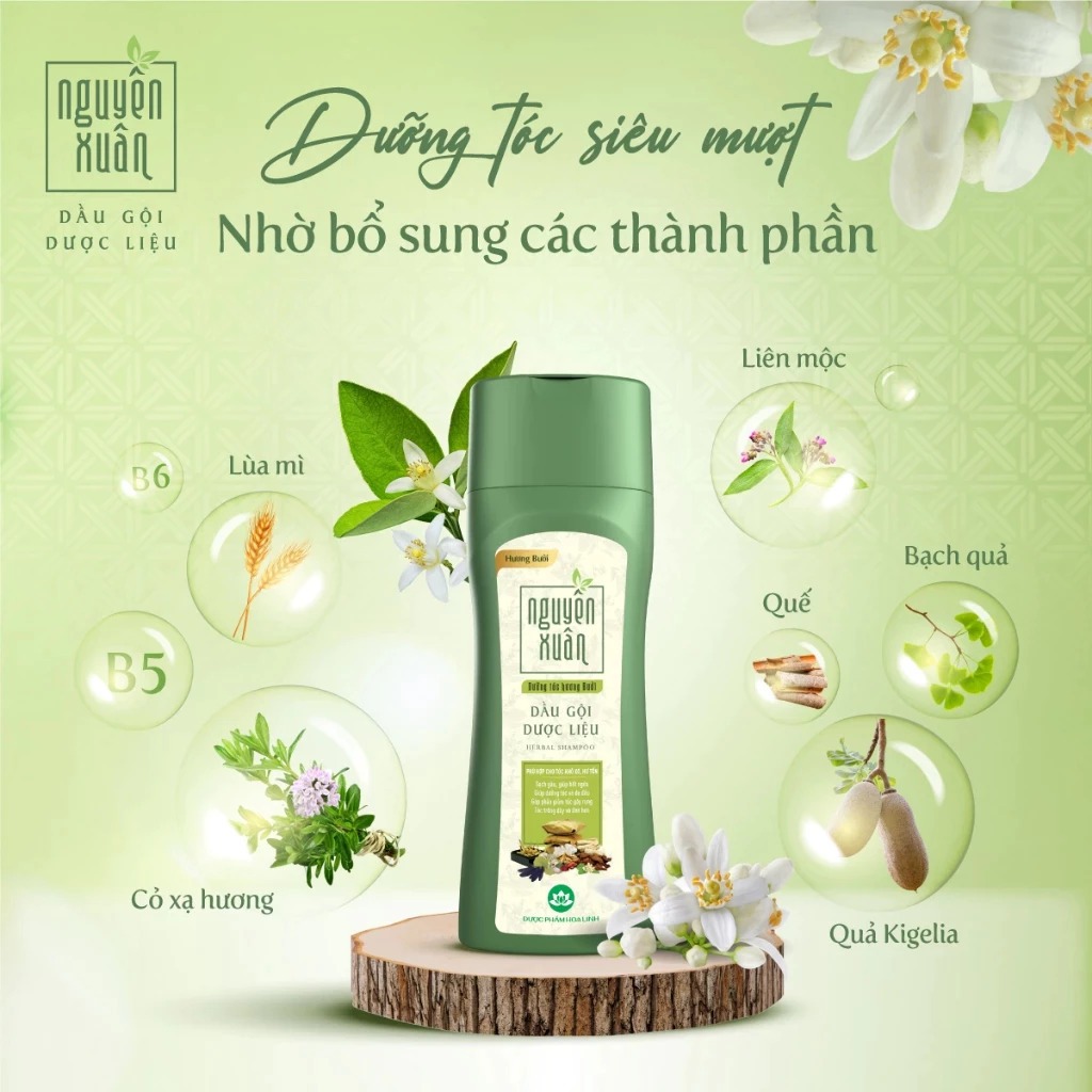 DẦU GỘI DƯỢC LIỆU NGUYÊN XUÂN – ĐỦ PHIÊN BẢN | CHỌN MÙI & CÔNG DỤNG THEO NHU CẦU