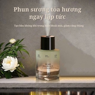 Máy khuếch tán tinh dầu cao cấp, phun sương tạo ẩm - dùng cho phòng khách, phòng ngủ và xe hơi