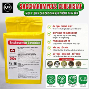 Men Tiêu Hoá (Nấm Men) Saccharomyces Cerevisiae (Gói 500G) Vi Sinh Hỗ Trợ Tiêu Hoá Cho Tôm, Cá, Ếch, Lươn, Baba...