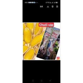chuối giống đủ loại ( chuối già, chuối sáp, chuối xiêm, chuối cau, chuối hột)