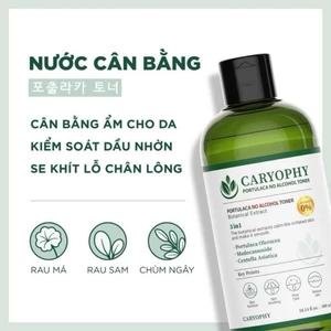 Toner Nước Cân Bằng Da CARYOPHY Portulaca Toner 300ml Hàn Quốc Cho Da Dầu Mụn