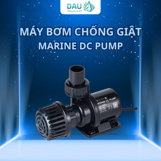 Máy Bơm DC 24V chống giật Marine DC650,DC1500, DC2500,DC4000, DC6000, Dc9000, DC12000,DC15000