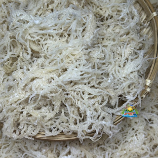 500g Rong sụn một nắng, rong sụn ủ muối, dùng làm gỏi rong sụn, nấu chè rong sụn sâm bổ lượng, seamossgel