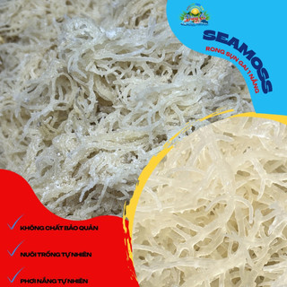 500g Rong sụn một nắng, rong sụn ủ muối, dùng làm gỏi rong sụn, nấu chè rong sụn sâm bổ lượng, seamossgel