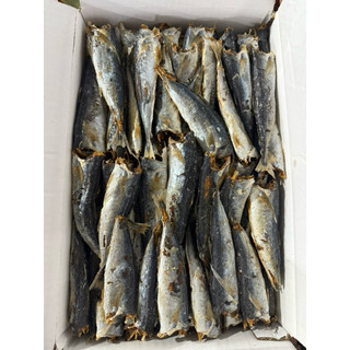 CÁ NỤC KHÔ (KO ĐẦU) - LOẠI 1