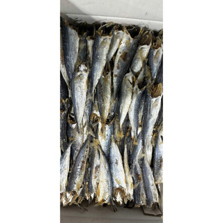 CÁ NỤC KHÔ (KO ĐẦU) - LOẠI 1