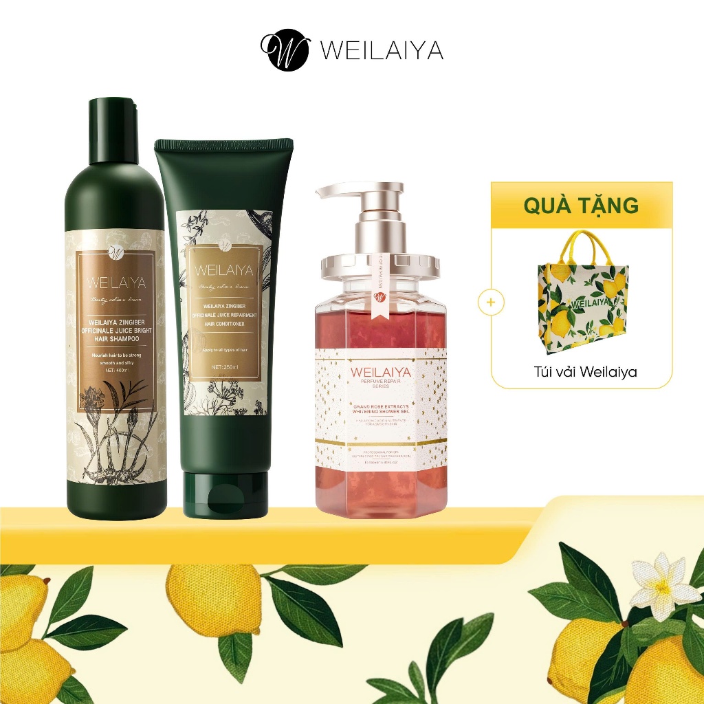 Combo Sữa tắm nước hoa, trắng da toàn thân Damask và cặp dầu gội đầu, dầu xả tóc thảo dược gừng Weilaiya ngăn rụng tóc
