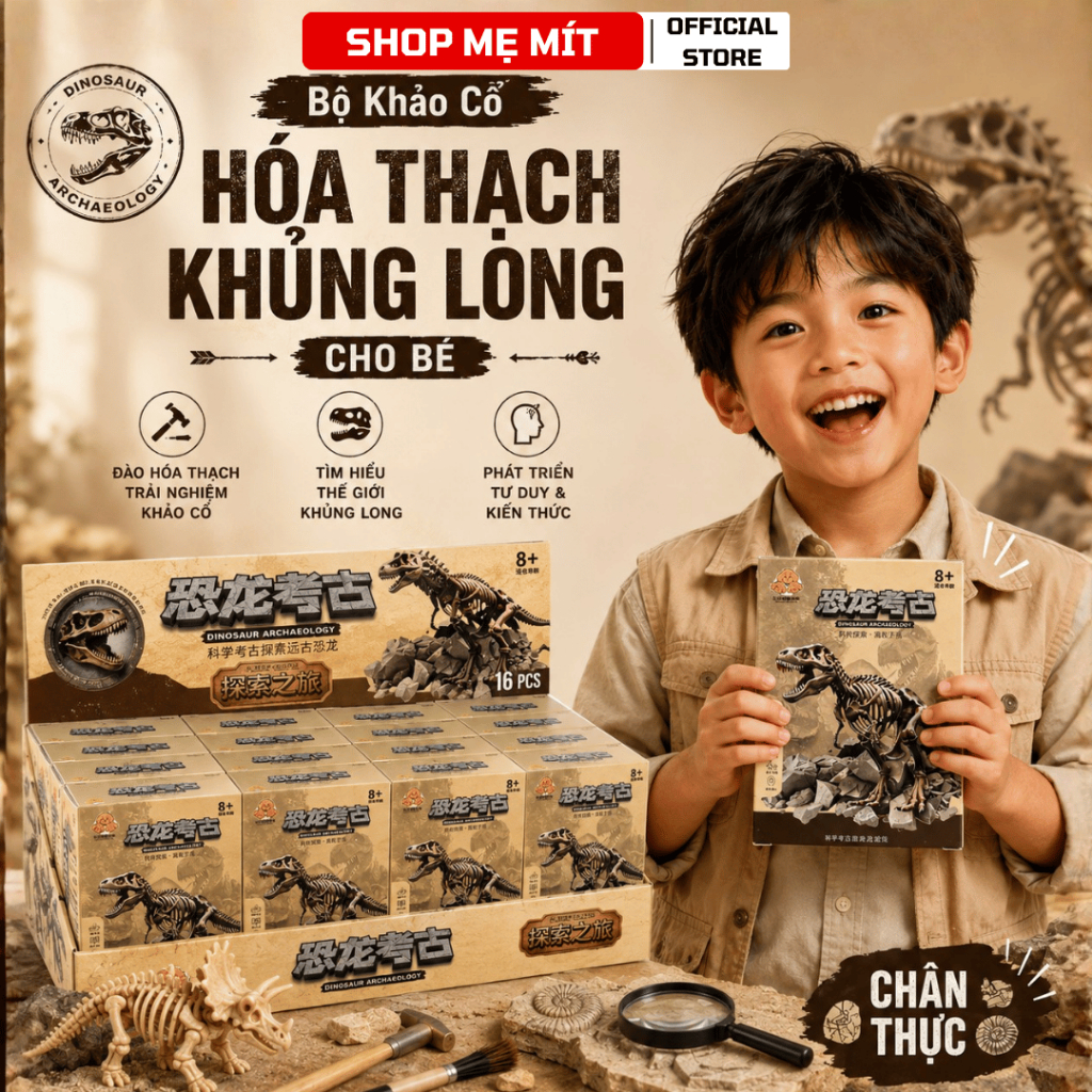 Bộ Khảo Cổ Hóa Thạch Khủng Long Cho Bé Đồ Chơi Khảo Cổ Mô Hình Xương Khủng Long