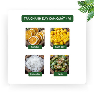 [Mua 1 tặng 1] Trà Chanh Dây Cam Quất - Detox, hỗ trợ đẹp da, thanh nhiệt - Trà Triệu Lộ Tư - Tiệm Trà Việt