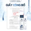 Combo 2 Tuýp Lăn Tóc HairBorn 60ml - Hỗ Trợ Giảm Rụng, Mọc Tóc Và Dưỡng Da Đầu