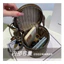 Túi Đeo Chéo Beibaobao Hộp Nâu New Chính Hãng 6895