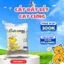 Cát Đất Sét Cho Mèo Dung Tích Lớn 4Kg/8Kg/20Kg - Siêu Tiết Kiệm, Vón Tốt, Khử Mùi