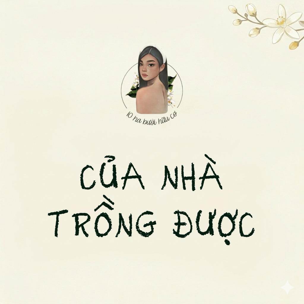 [10habuoihuuco] HÀNG TRẢI NGHIỆM FULLSIZE đủ bộ chăm sóc tóc 10habuoihuuco