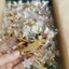 Trà Tỏa Hương - 40 gói - Giúp Cơ Thể Khử Mùi, Tỏa Hương, Hương Hoa Nhài, Hoa Hồng - Tiệm Trà Việt