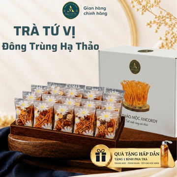 Trà Đông Trùng Tứ Vị, Đông Trùng Hạ Thảo Kết Hợp Táo Đỏ Kỷ Tử Long Nhãn, Gói Trà Thảo Mộc Ancordy