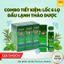 Lốc 6 Lọ Dầu Lạnh Thảo Dược Wang Prom Green Oil Thái Lan (20ml/Chai) - Hàng Nội Địa